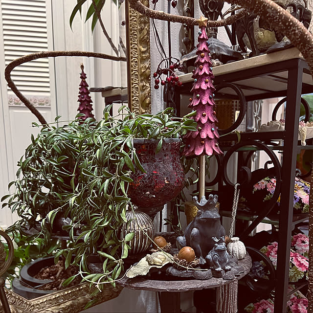 AYUKOさんの実例写真