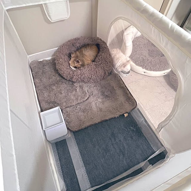 meuさんの実例写真