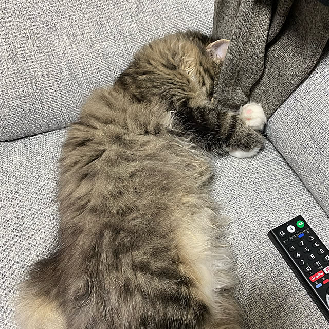 sh.0514さんの実例写真