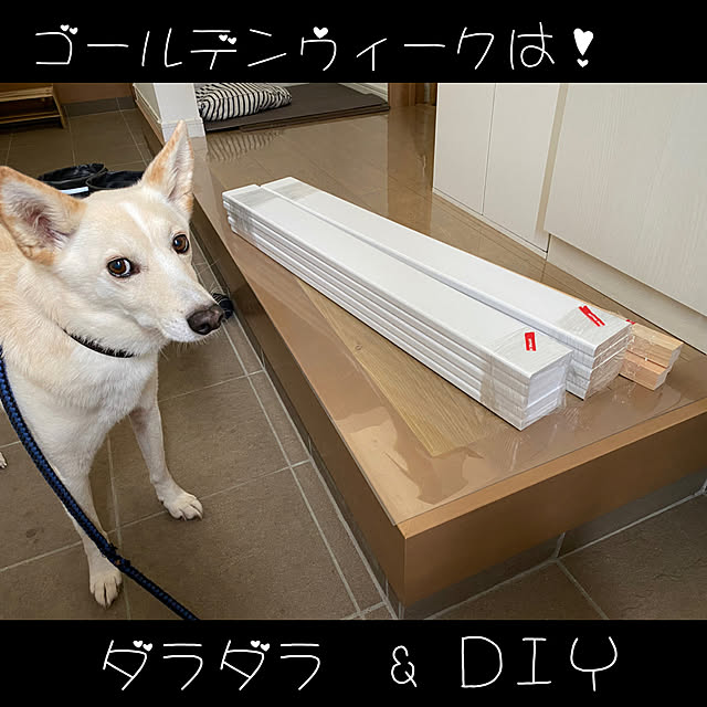 tanboさんの実例写真