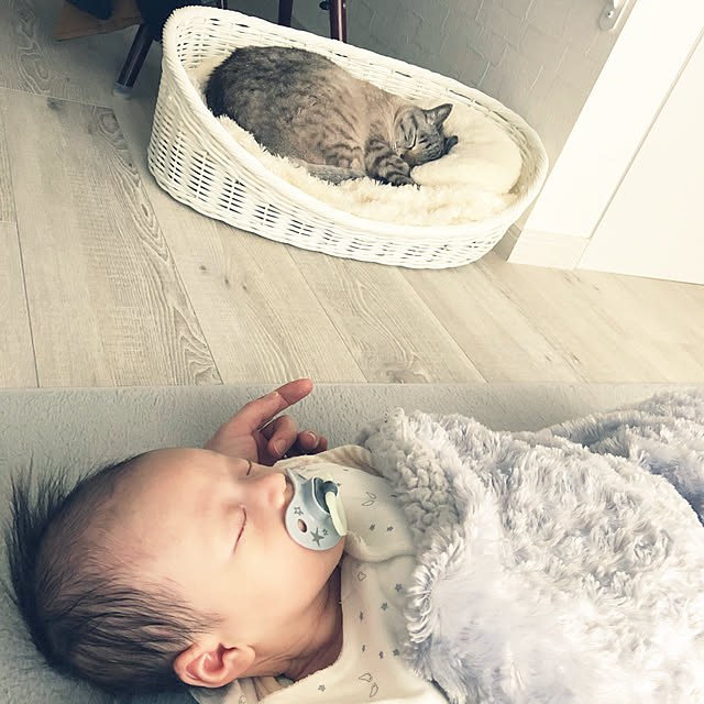 mieさんの実例写真