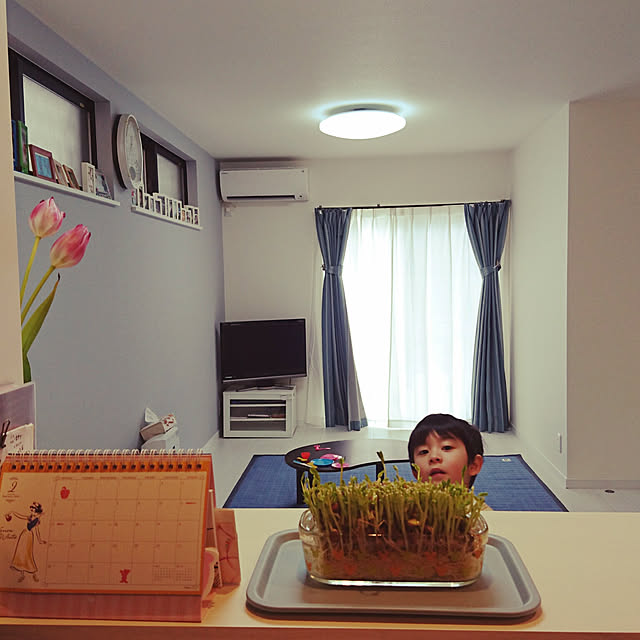 aoirohaさんの実例写真