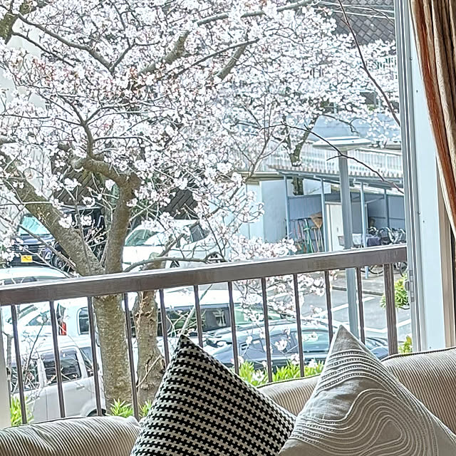 syutmmさんの部屋