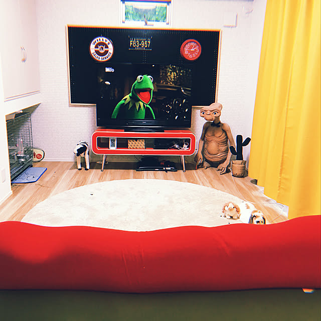 usagino_santaさんの実例写真