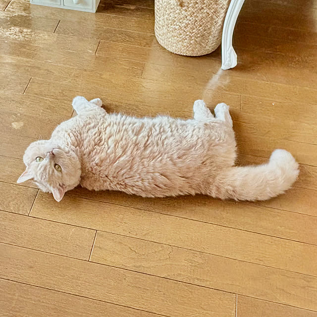 naokoさんの部屋