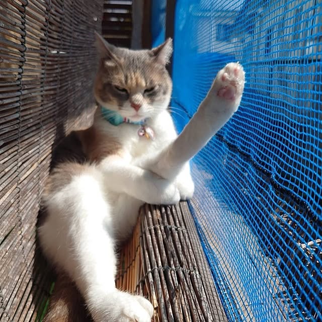 fukuさんの実例写真