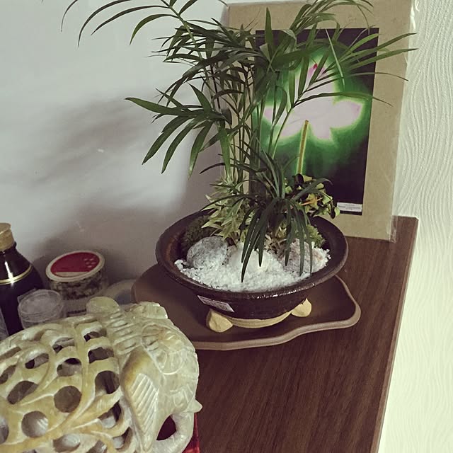 Keiko-sanさんの実例写真
