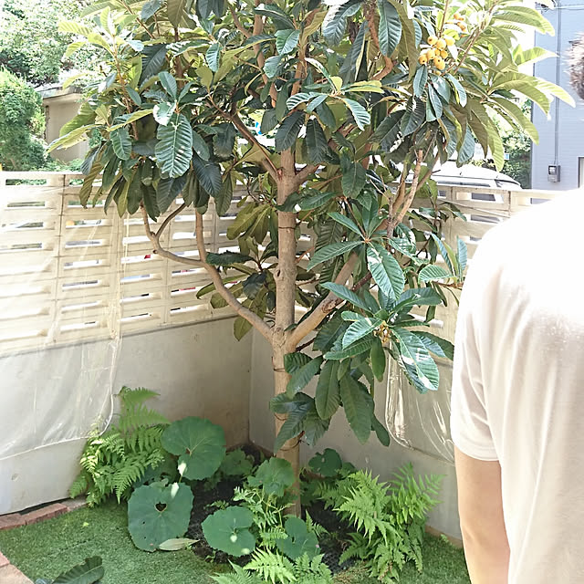 bonobono54さんの実例写真