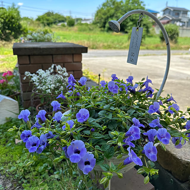 oyoさんの実例写真