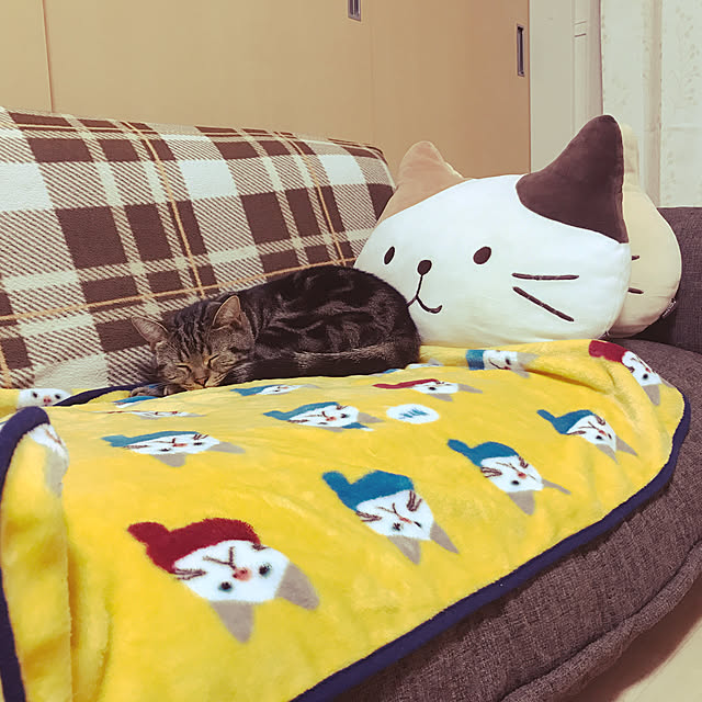 Ayumiさんの実例写真