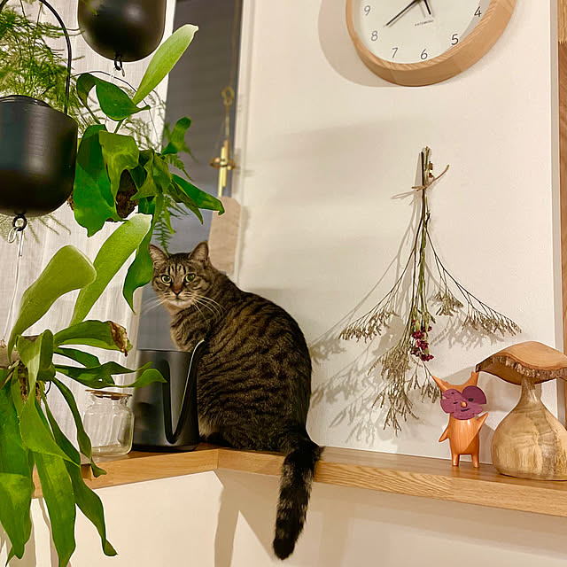 taro.さんの実例写真