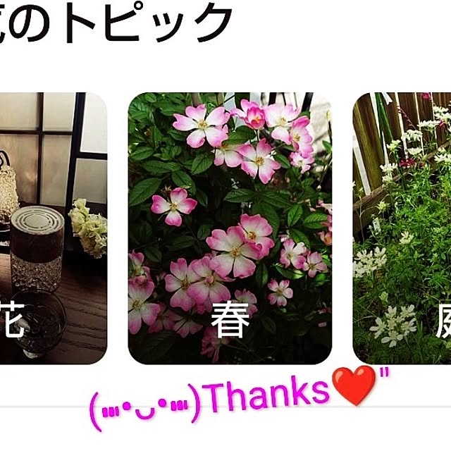 katさんの部屋
