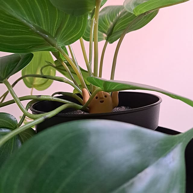 hiroさんの部屋