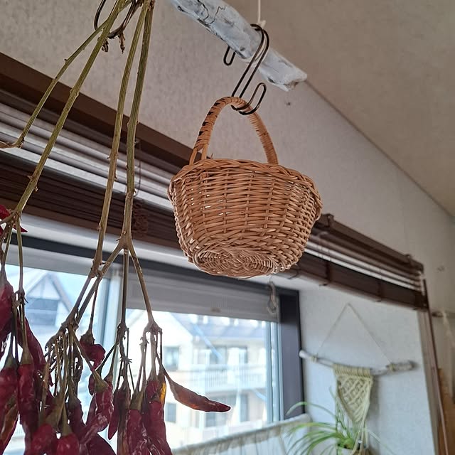 midoriさんの部屋