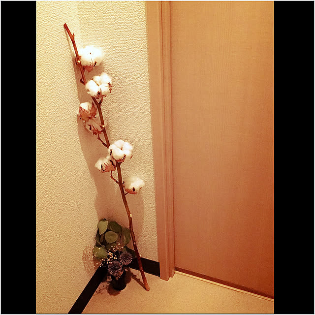 Miyukiさんの実例写真