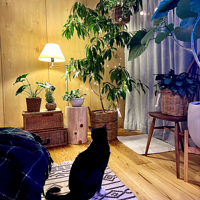 pooさんの実例写真