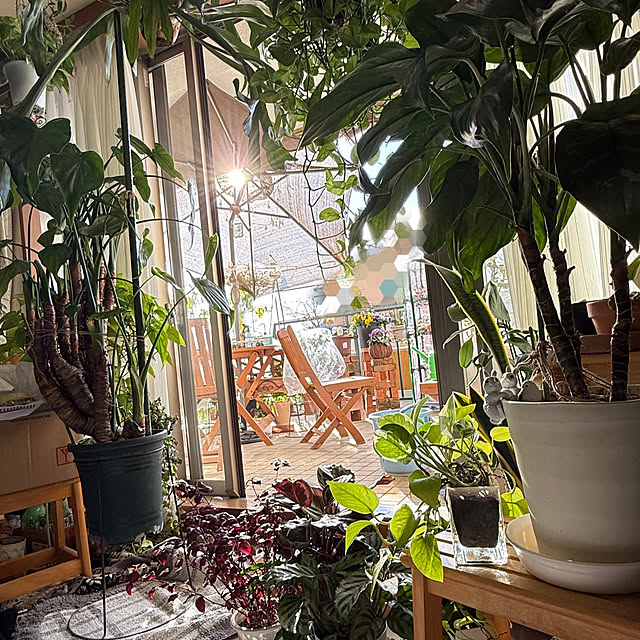 Aqettyさんの実例写真