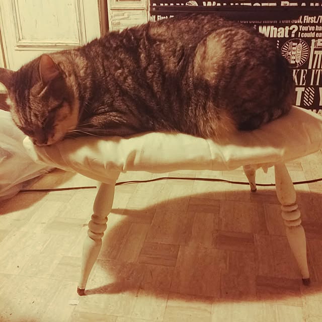 annさんの実例写真