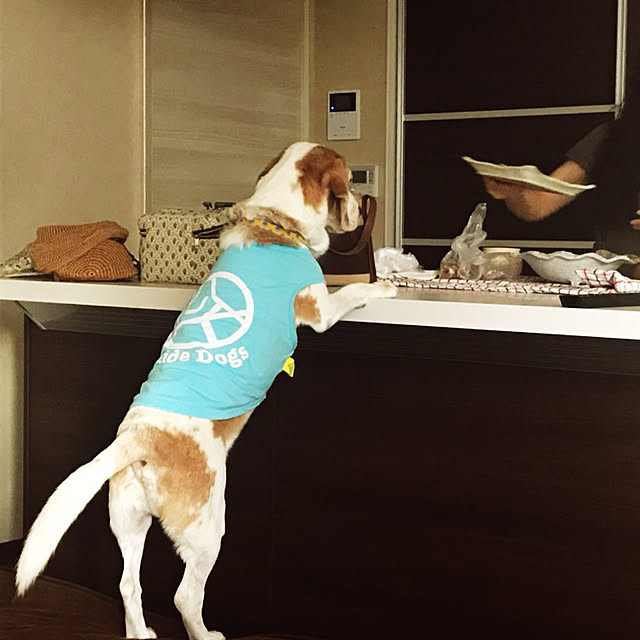 chouchouさんの実例写真