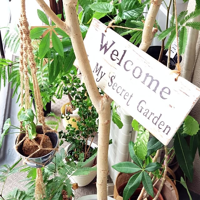 studio-fleurさんの実例写真