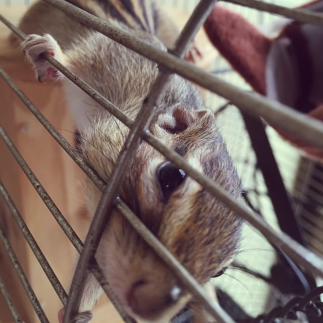 cloverさんの実例写真