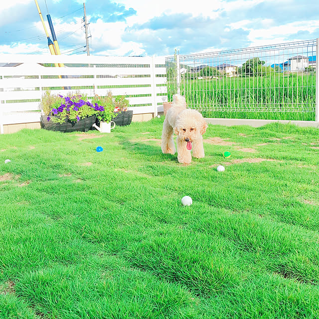 m.tさんの実例写真