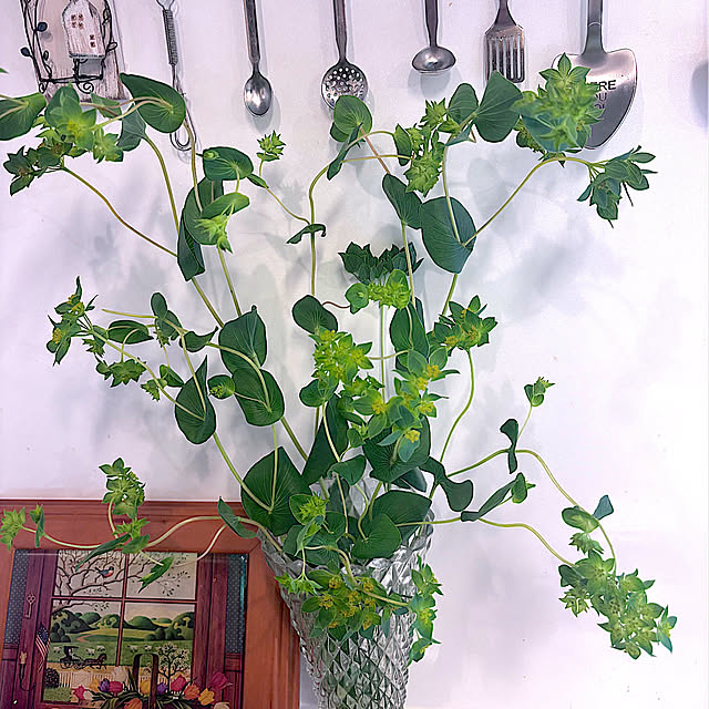 syutmmさんの部屋