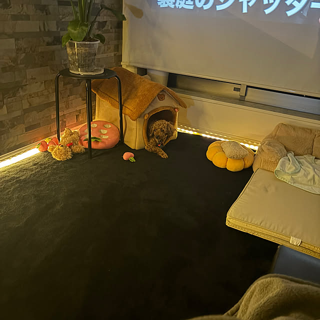 MOMOMAMAさんの部屋