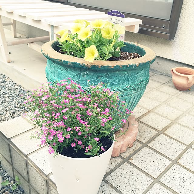 sakuraさんの実例写真