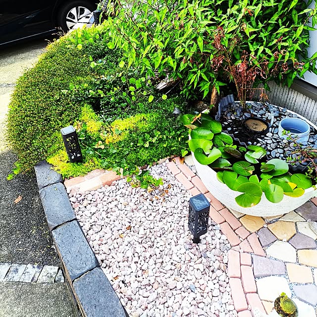 thio1005さんの実例写真