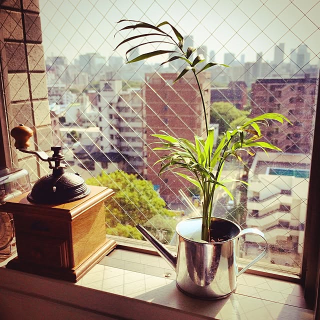 YASUさんの実例写真