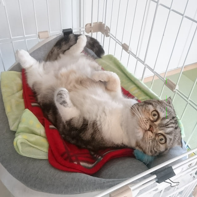takiko0407さんの実例写真