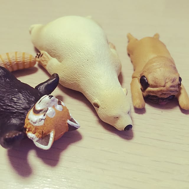 実例写真