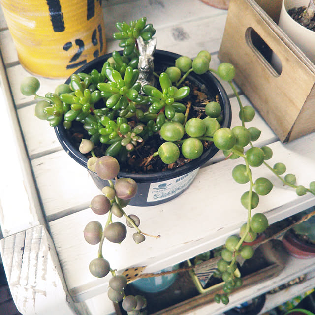 kanaさんの実例写真