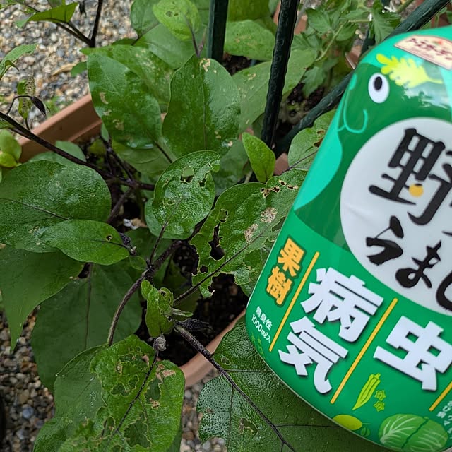Rさんの部屋