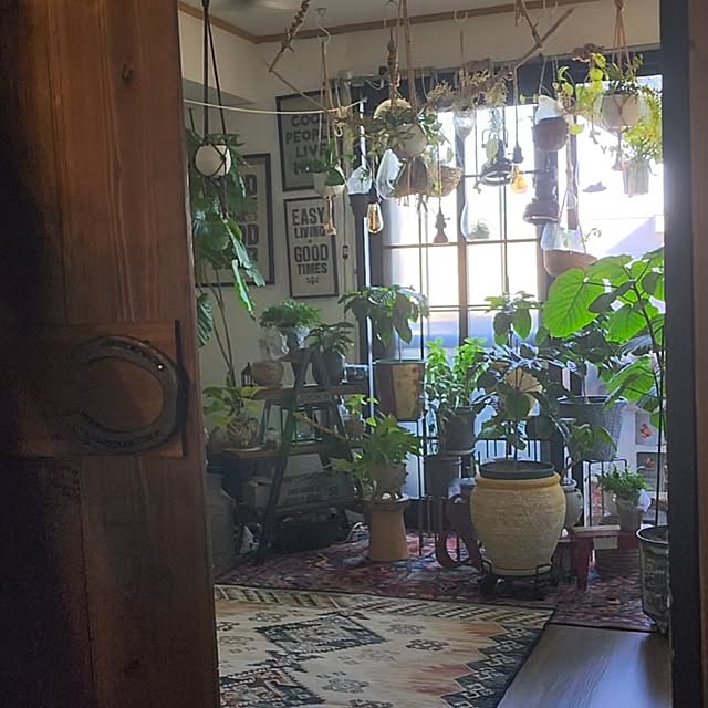 CYNOSさんの実例写真