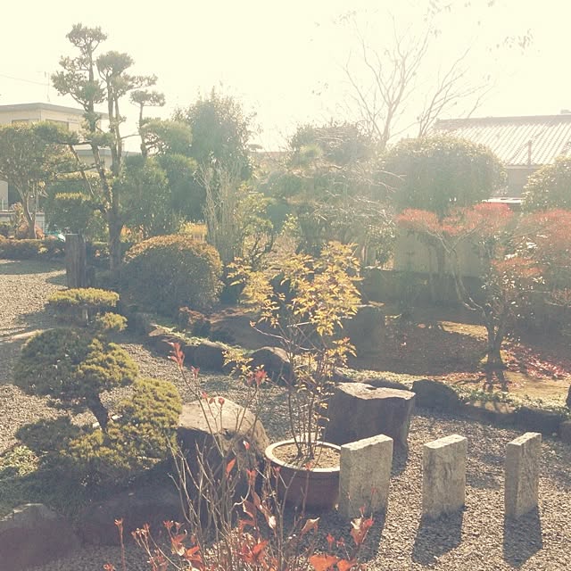 MMさんの実例写真