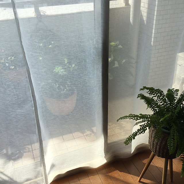 greenpancerさんの実例写真