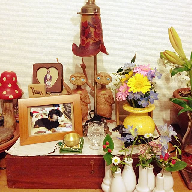 tsukushinboさんの実例写真
