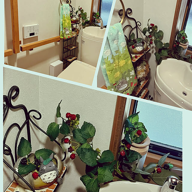 cotaさんの部屋