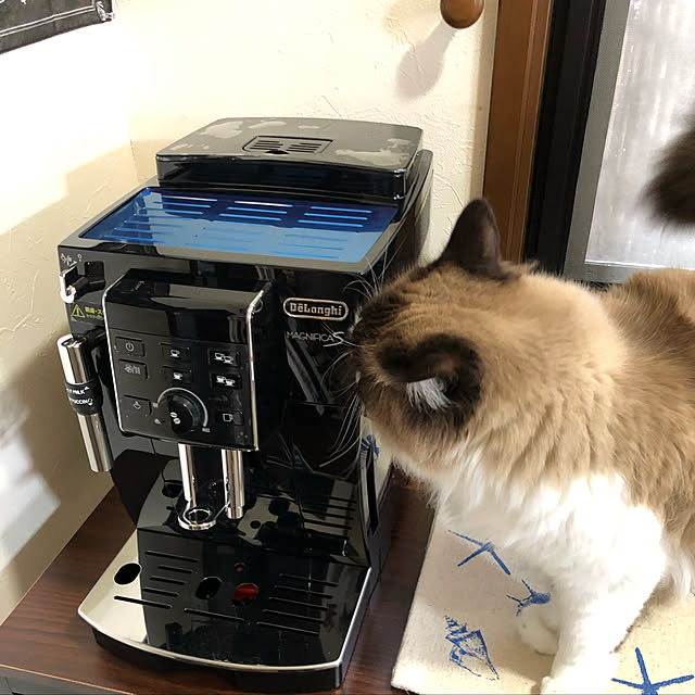 eve373さんの実例写真