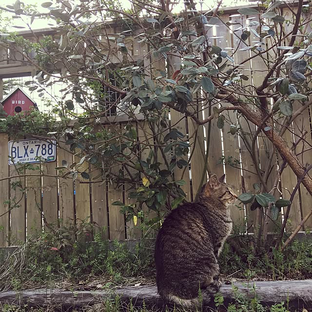 NAOMIさんの実例写真