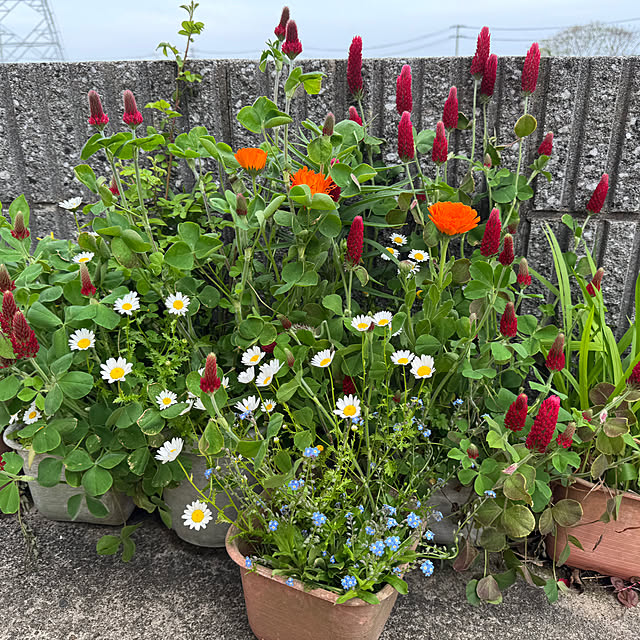 kimiさんの実例写真