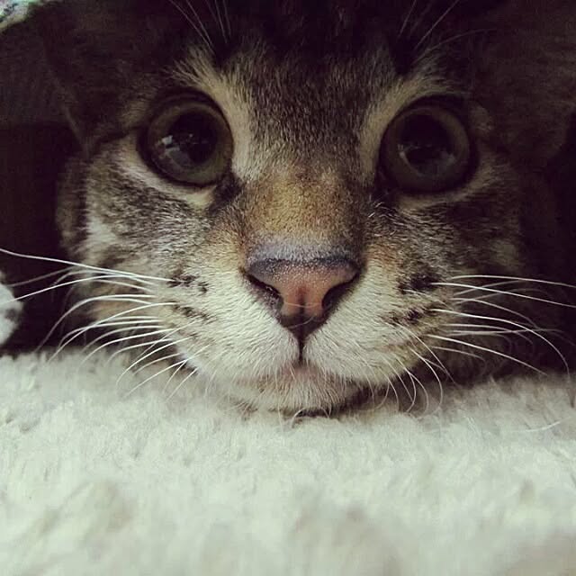 Lukiさんの実例写真