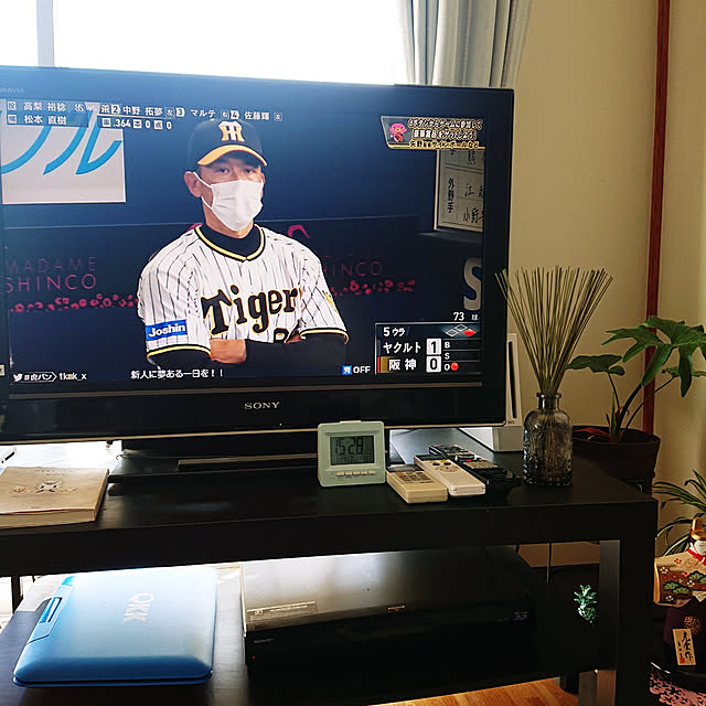 taeさんの実例写真