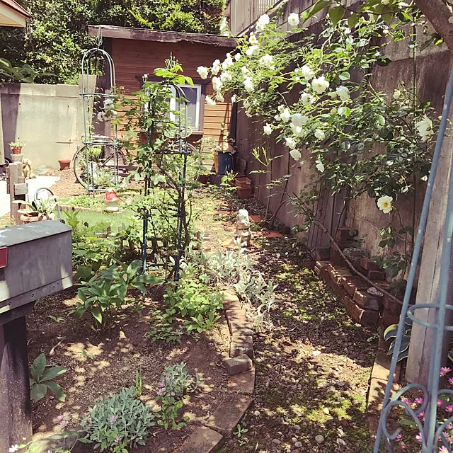 zurinさんの実例写真