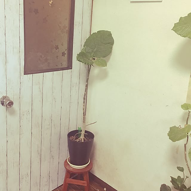 DADAさんの実例写真