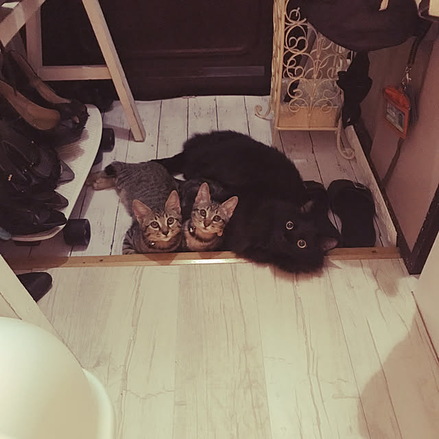 emikoさんの実例写真