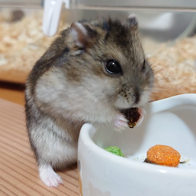 sunflower07さんの実例写真