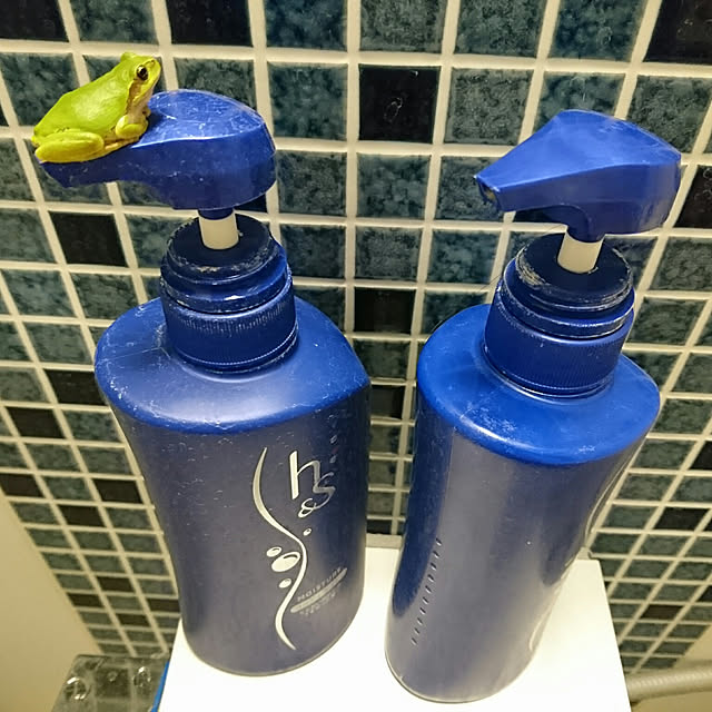 HarouniHouseさんの実例写真